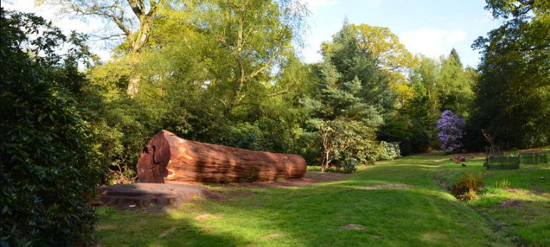 Harcourt Arboretum (University of Oxford), England, United Kingdom